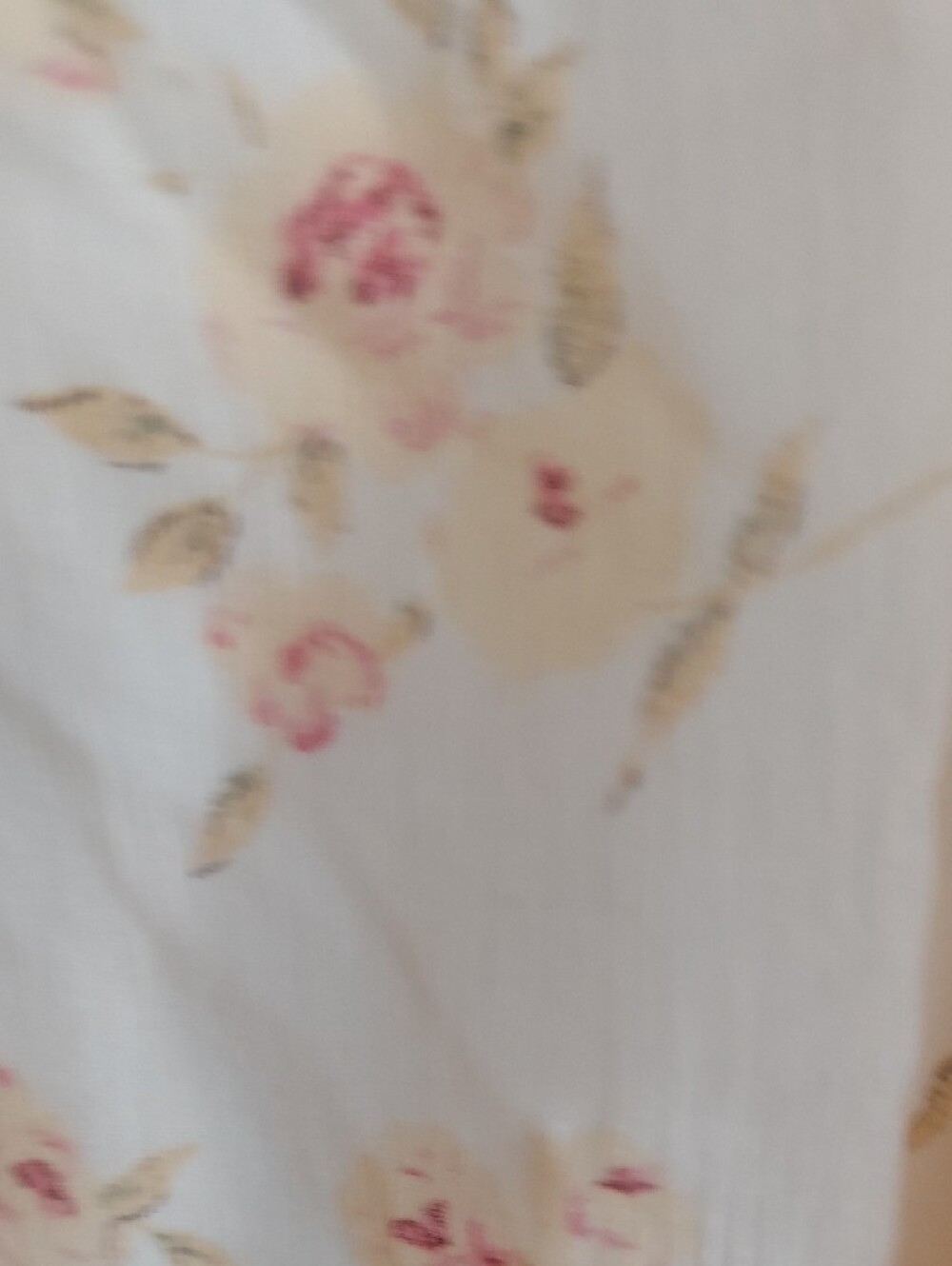 Women's Sheer Floral Tie-Front Blouse - Cream with Pink Floral - Picture 8 of 10